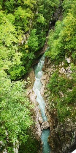 Schluchtenblick von oben: Ein schmaler Bach fließt durch dicht bewachsenes Tal.